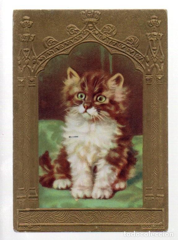 Coleccionismo cromos antiguos: ANTIGUO CROMO, CHOCOLATES EVARISTO JUNCOSA HIJO - ARTE MODERNO, SERIE F, N&ordm; 3 - GATO PERSA