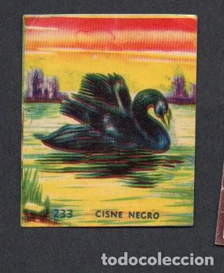 Coleccionismo cromos antiguos: ANTIGUO CROMO, AZAFRANES NOVELDA. ALBUM INSTRUCTIVO DELIA 1 - N&ordm; 233 - CISNE NEGRO.