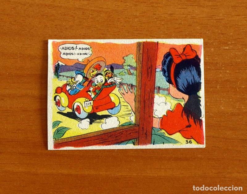 Coleccionismo cromos antiguos: &Aacute;lbum Walt Disney - Una Jira por la Pampa Argentina - N&ordm; 36 - Chocolates Lloveras A&ntilde;o 1948
