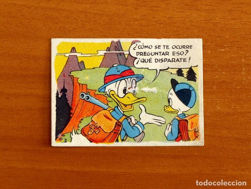Coleccionismo cromos antiguos: &Aacute;lbum Walt Disney - El Pato Donald va de Caza - N&ordm; 3 - Chocolates Lloveras A&ntilde;o 1948