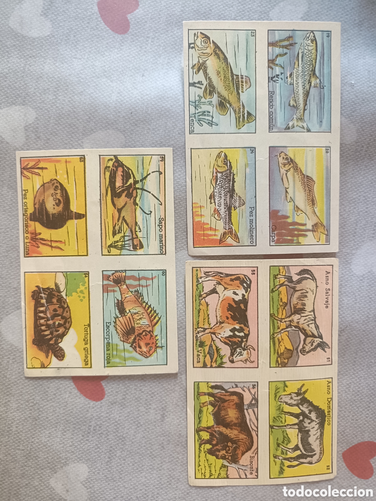 Coleccionismo cromos antiguos: Lote de cromos Zoologia Bruguera Sobre Sorpresa