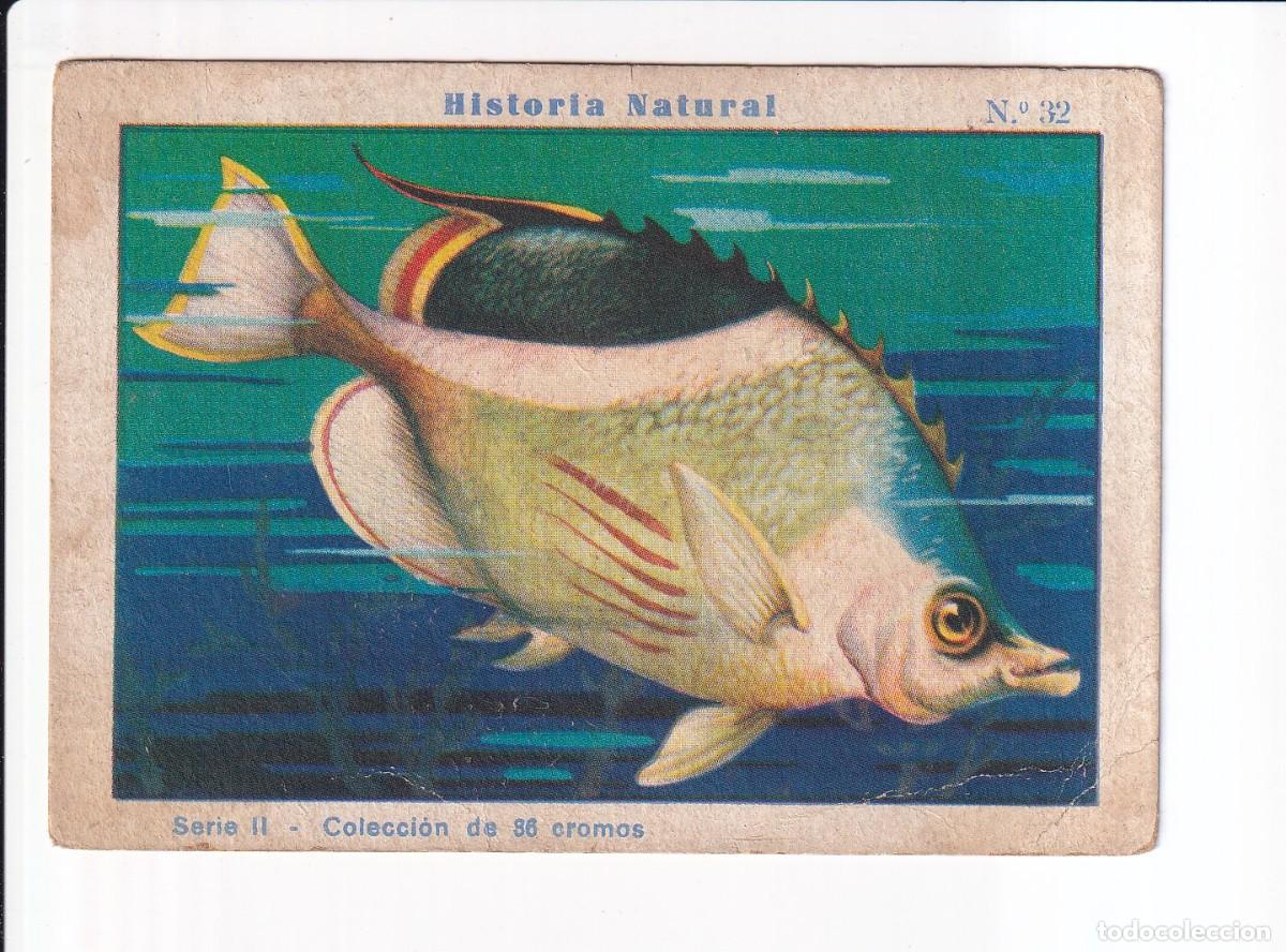 Coleccionismo cromos antiguos: HISTORIA NATURAL: SERIE II.- NUMERO 32 .- CHOCOLATES EDUARDO PI