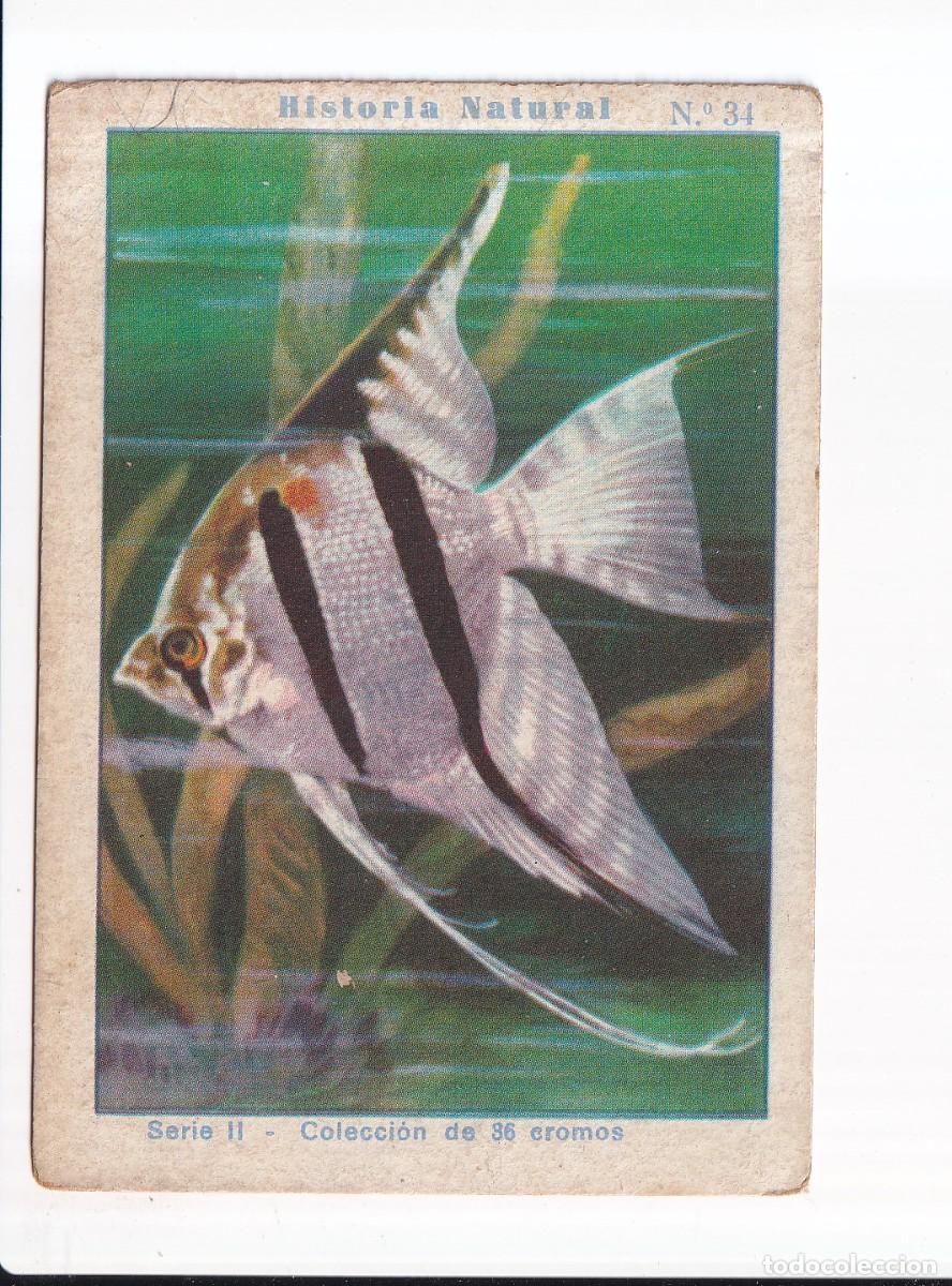 Coleccionismo cromos antiguos: HISTORIA NATURAL: SERIE II.- NUMERO 34 .- CHOCOLATES EDUARDO PI
