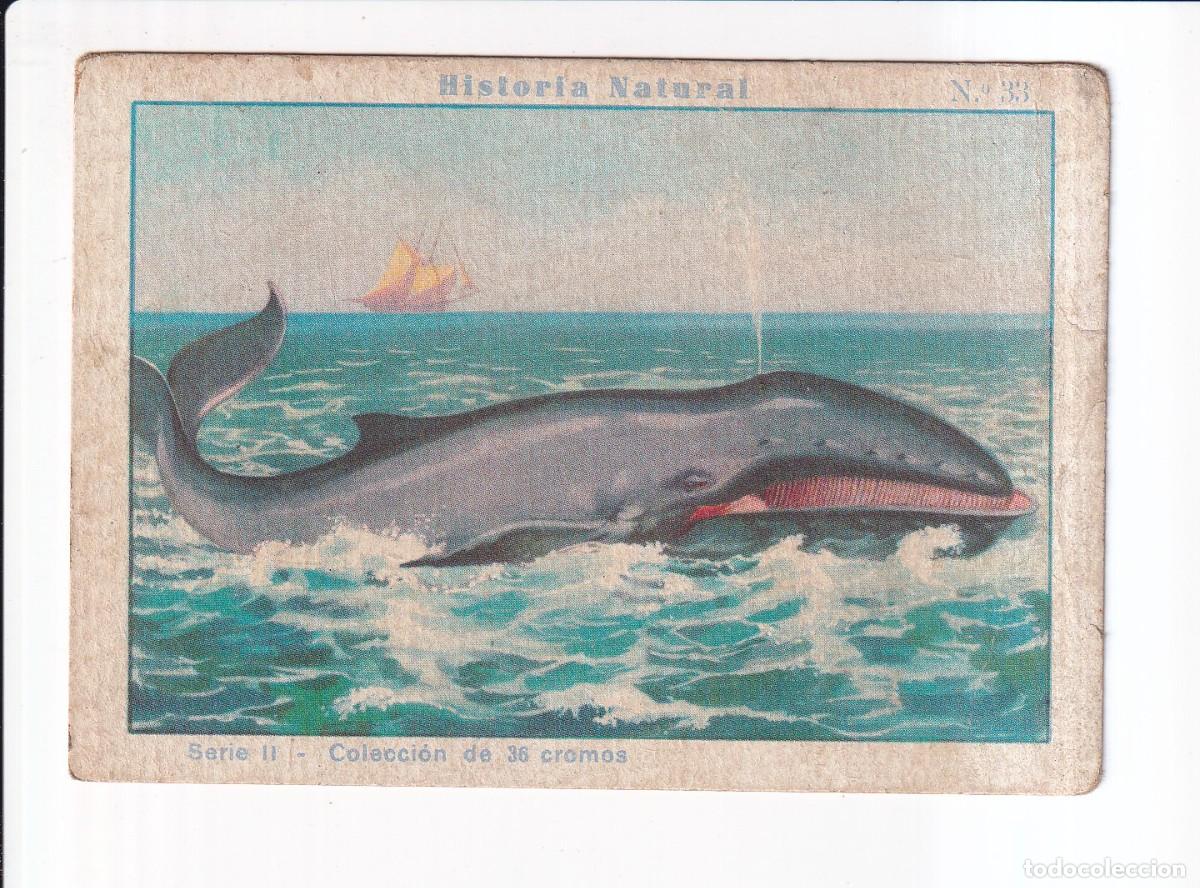 Coleccionismo cromos antiguos: HISTORIA NATURAL: SERIE II.- NUMERO 33 .- CHOCOLATES EDUARDO PI