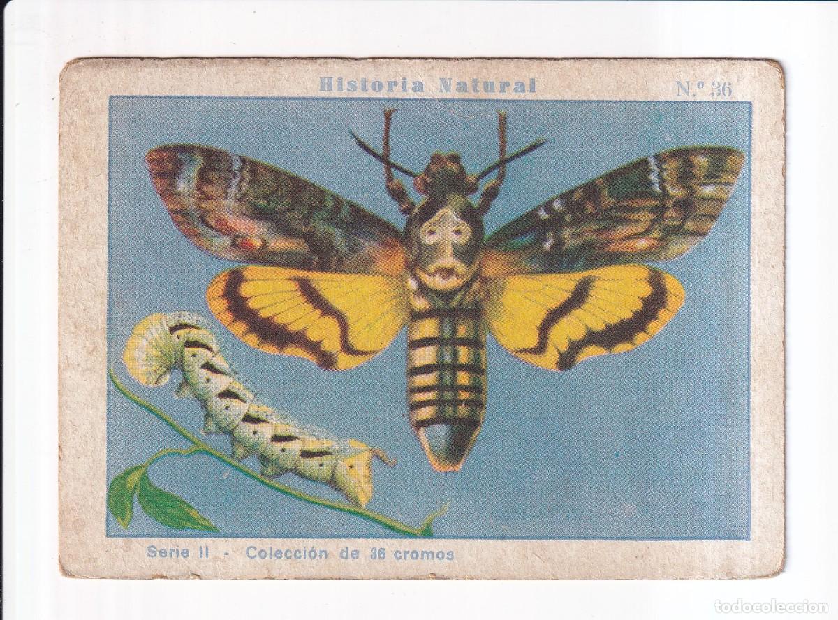 Coleccionismo cromos antiguos: HISTORIA NATURAL: SERIE II.- NUMERO 36 .- CHOCOLATES EDUARDO PI