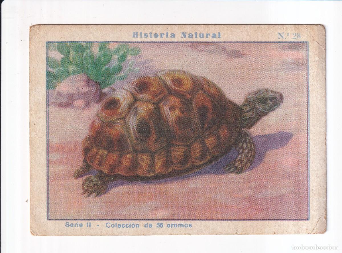 Coleccionismo cromos antiguos: HISTORIA NATURAL: SERIE II.- NUMERO 28 .- CHOCOLATES EDUARDO PI