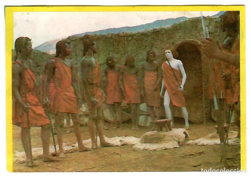 Colecionismo Cromos antigos: Cromo del album Orzowei, de Bimbo: n&ordm; 8