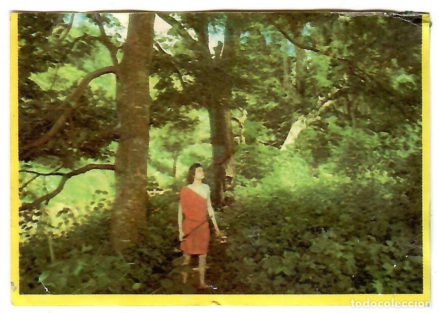 Colecionismo Cromos antigos: Cromo del album Orzowei, de Bimbo: n&ordm; 9