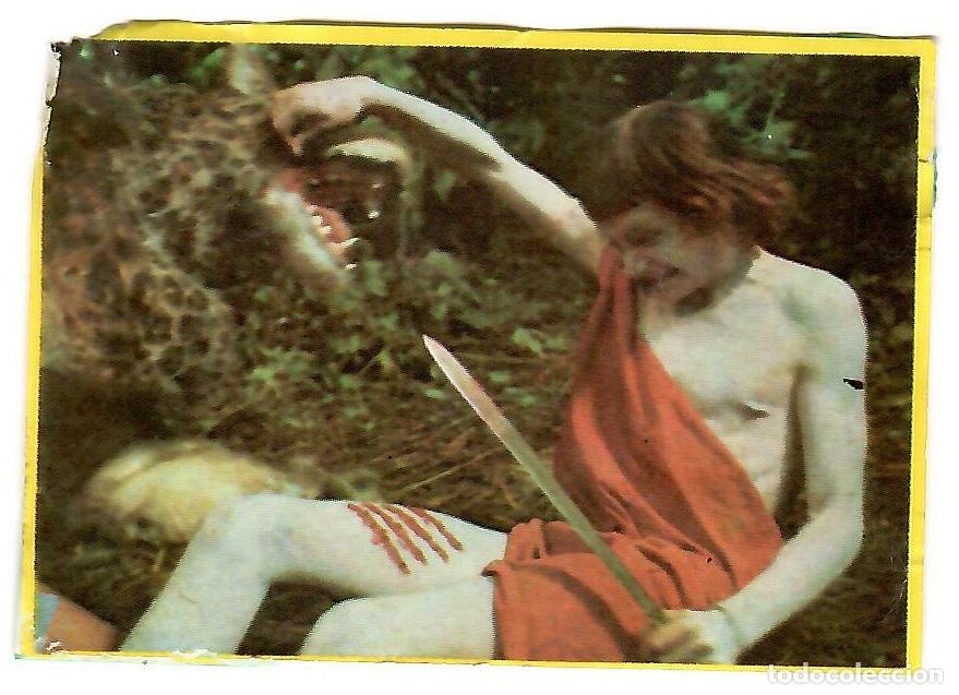 Colecionismo Cromos antigos: Cromo del album Orzowei, de Bimbo: n&ordm; 12
