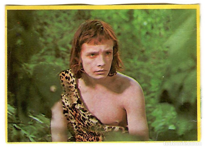 Colecionismo Cromos antigos: Cromo del album Orzowei, de Bimbo: n&ordm; 17