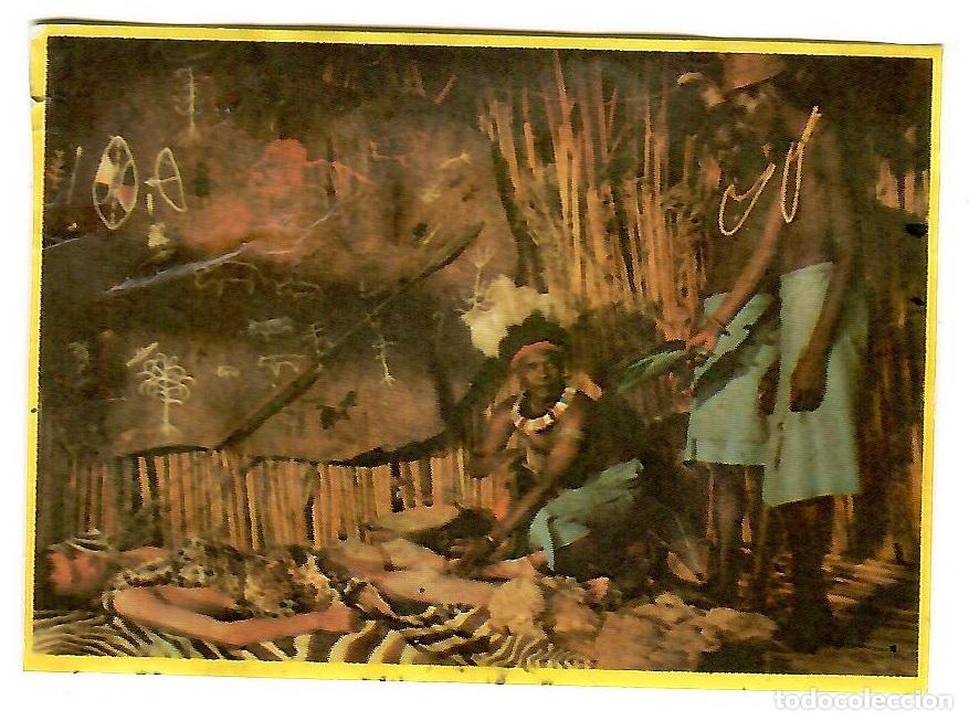 Colecionismo Cromos antigos: Cromo del album Orzowei, de Bimbo: n&ordm; 21
