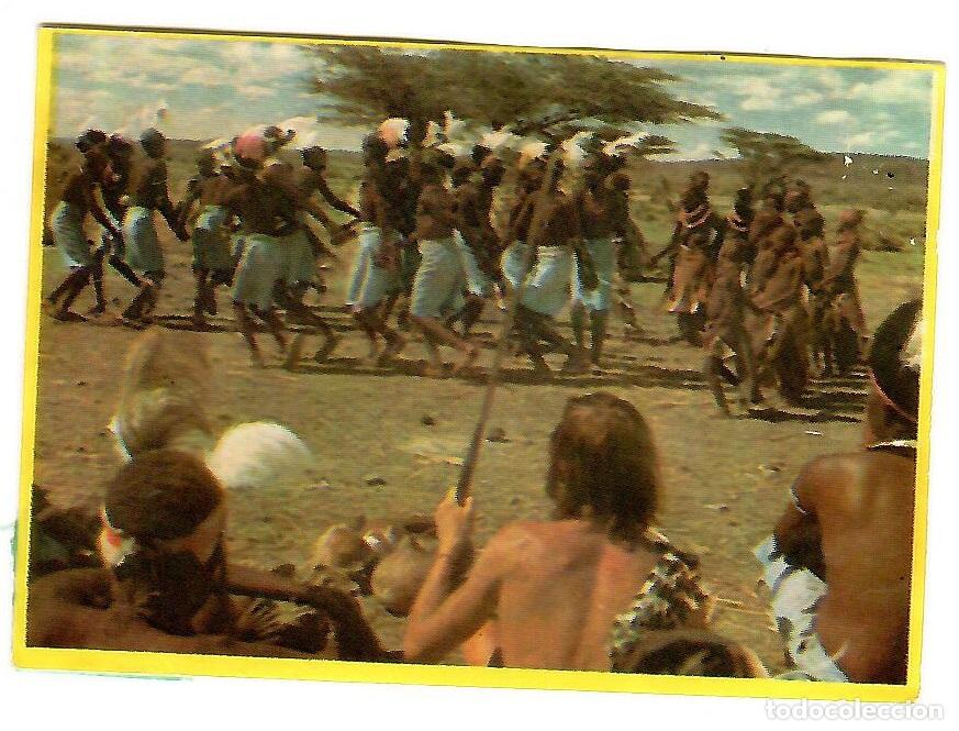 Colecionismo Cromos antigos: Cromo del album Orzowei, de Bimbo: n&ordm; 25