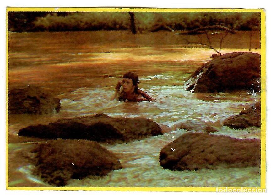 Coleccionismo cromos antiguos: Cromo del album Orzowei, de Bimbo: n&ordm; 77