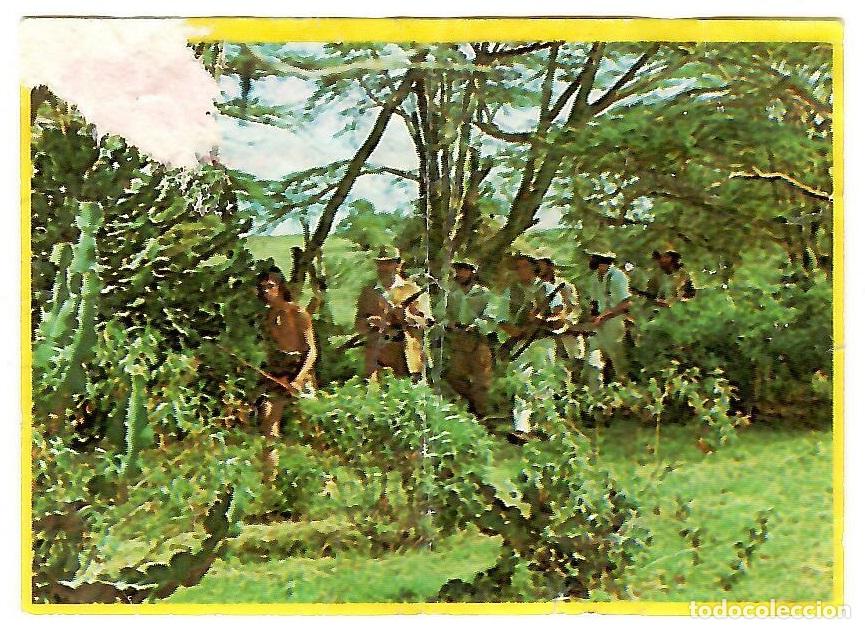 Coleccionismo cromos antiguos: Cromo del album Orzowei, de Bimbo: n&ordm; 84