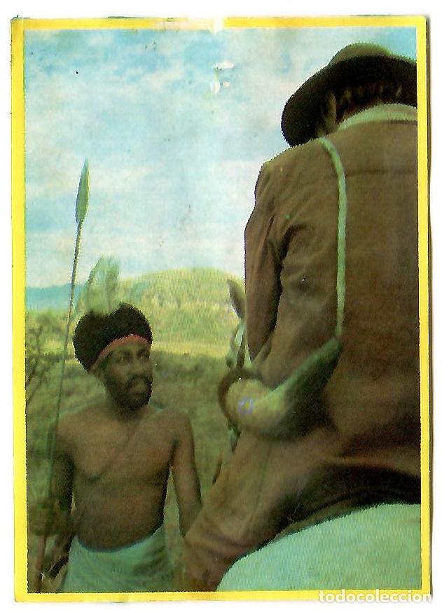 Coleccionismo cromos antiguos: Cromo del album Orzowei, de Bimbo: n&ordm; 98