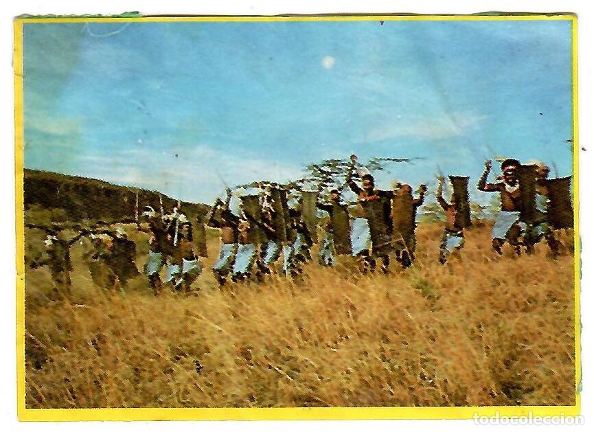 Coleccionismo cromos antiguos: Cromo del album Orzowei, de Bimbo: n&ordm; 103