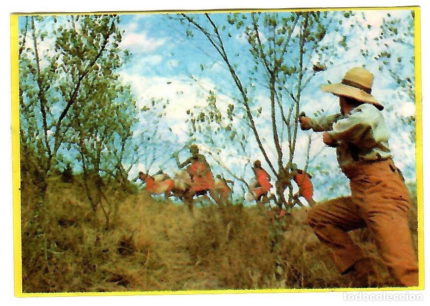 Coleccionismo cromos antiguos: Cromo del album Orzowei, de Bimbo: n&ordm; 104