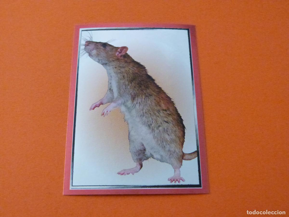 Coleccionismo cromos antiguos: CROMO HARRY POTTER SIN PEGAR N&ordm; 15 A&Ntilde;O 2022 ALBUM MANUAL PARA MAGOS Y.. PANINI