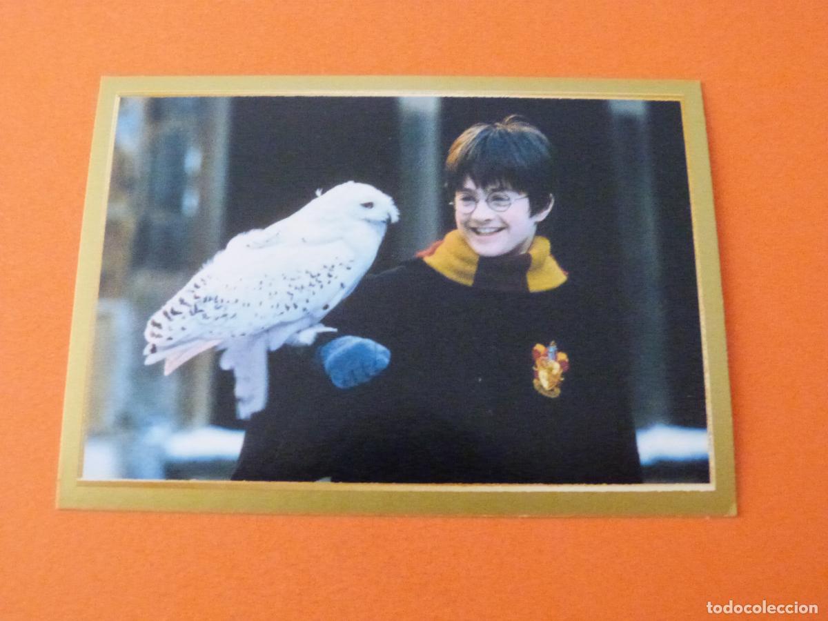Coleccionismo cromos antiguos: CROMO HARRY POTTER SIN PEGAR N&ordm; 13 A&Ntilde;O 2022 ALBUM MANUAL PARA MAGOS Y.. PANINI