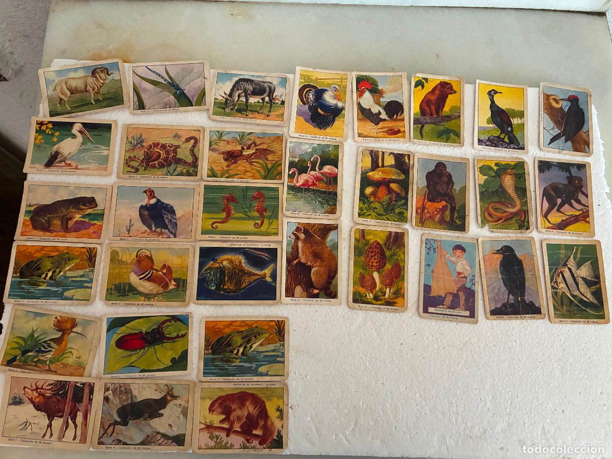 Coleccionismo cromos antiguos: lote 33 cromos historia natural chocolates sucesores de hijos de Zuricalday Bilbao coleccion de 36