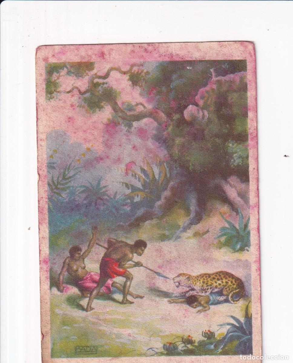 Coleccionismo cromos antiguos: A TRAVES DEL AFRICA SALVAJE : NUMERO XXXIII .- CHOCOLATES BUBI