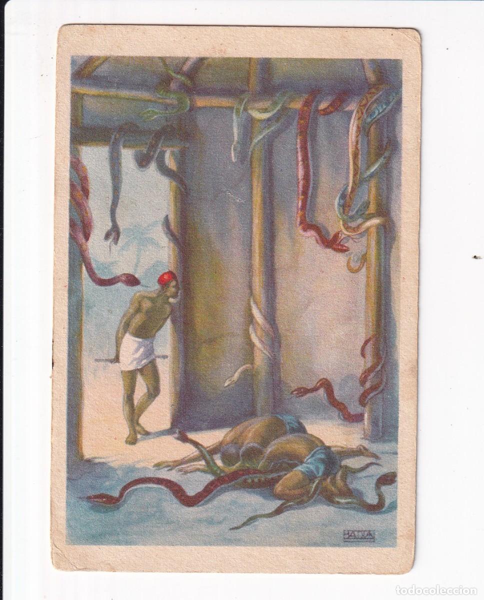 Coleccionismo cromos antiguos: A TRAVES DEL AFRICA SALVAJE : NUMERO XXXIV .- CHOCOLATES BUBI