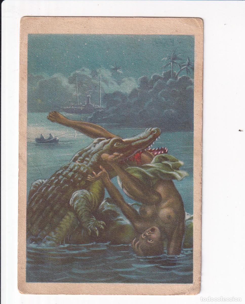 Coleccionismo cromos antiguos: A TRAVES DEL AFRICA SALVAJE : NUMERO XXXV .- CHOCOLATES BUBI