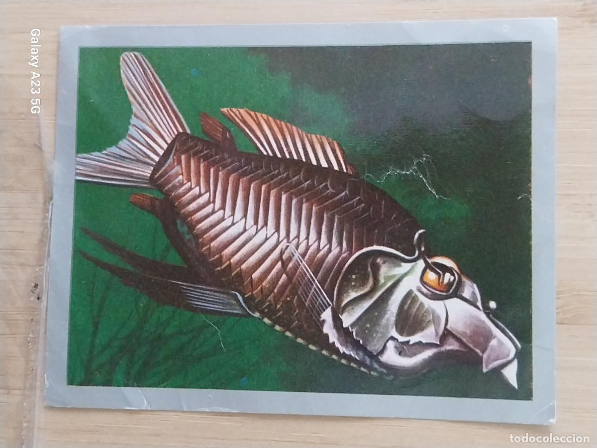 Coleccionismo cromos antiguos: OPISTHOPROCTUS A&Ntilde;O 1970 CROMO SIN PEGAR NUNCA ANIMALES MINERALES MAGA 9X7CMS ORIGINAL