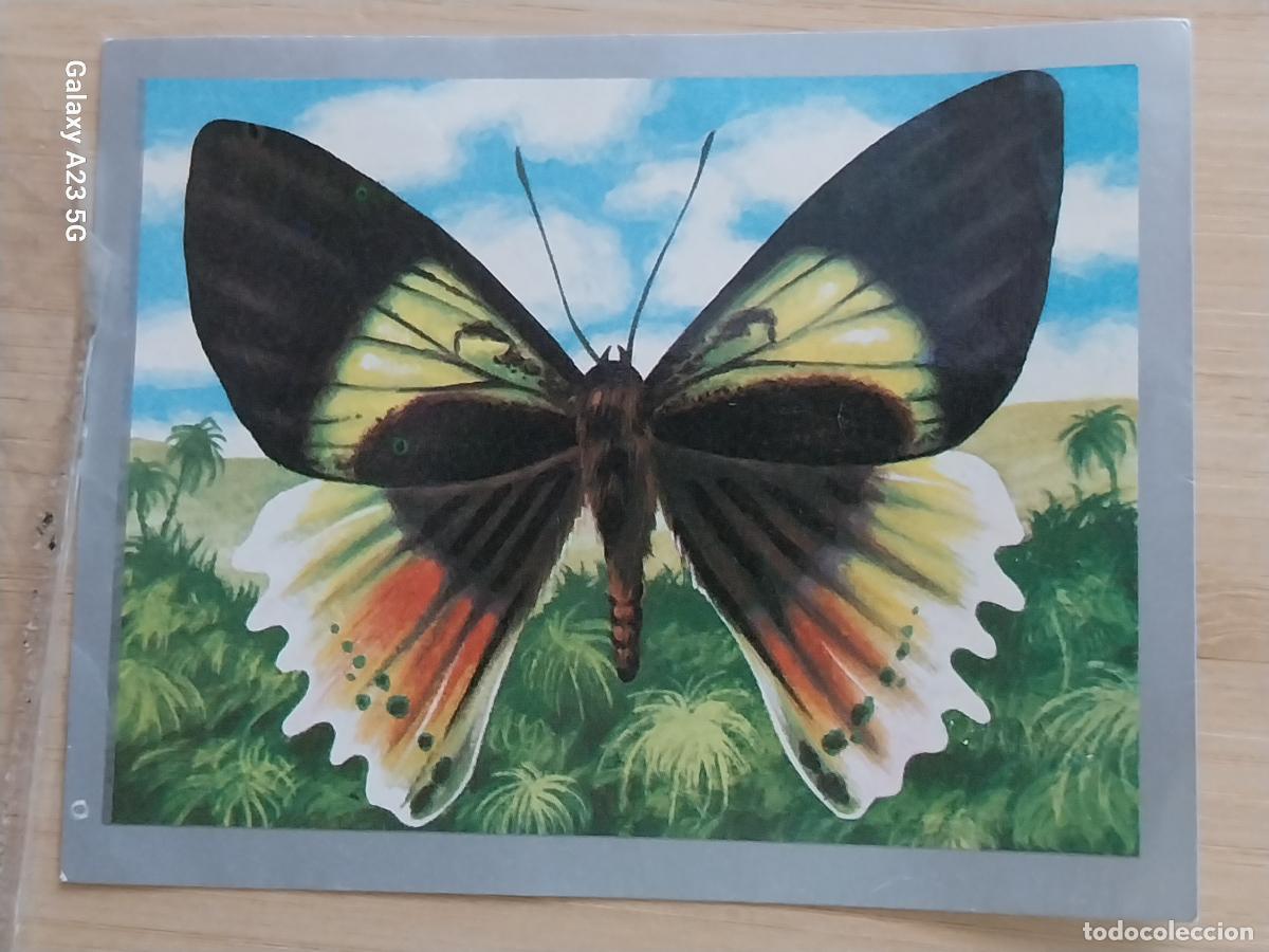 Coleccionismo cromos antiguos: ALCIDES AURORA MARIPOSA A&Ntilde;O 1970 CROMO SIN PEGAR NUNCA ANIMALES MINERALES MAGA 9X7CMS ORIGINAL