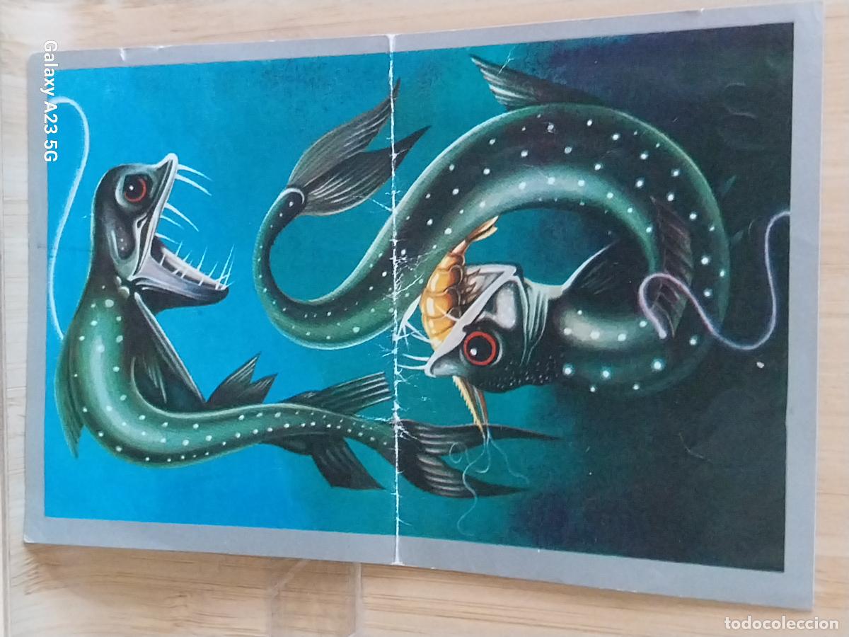 Coleccionismo cromos antiguos: CHAULIODUS A&Ntilde;O 1970 CROMO SIN PEGAR NUNCA ANIMALES MINERALES MAGA 9X14CMS ORIGINAL