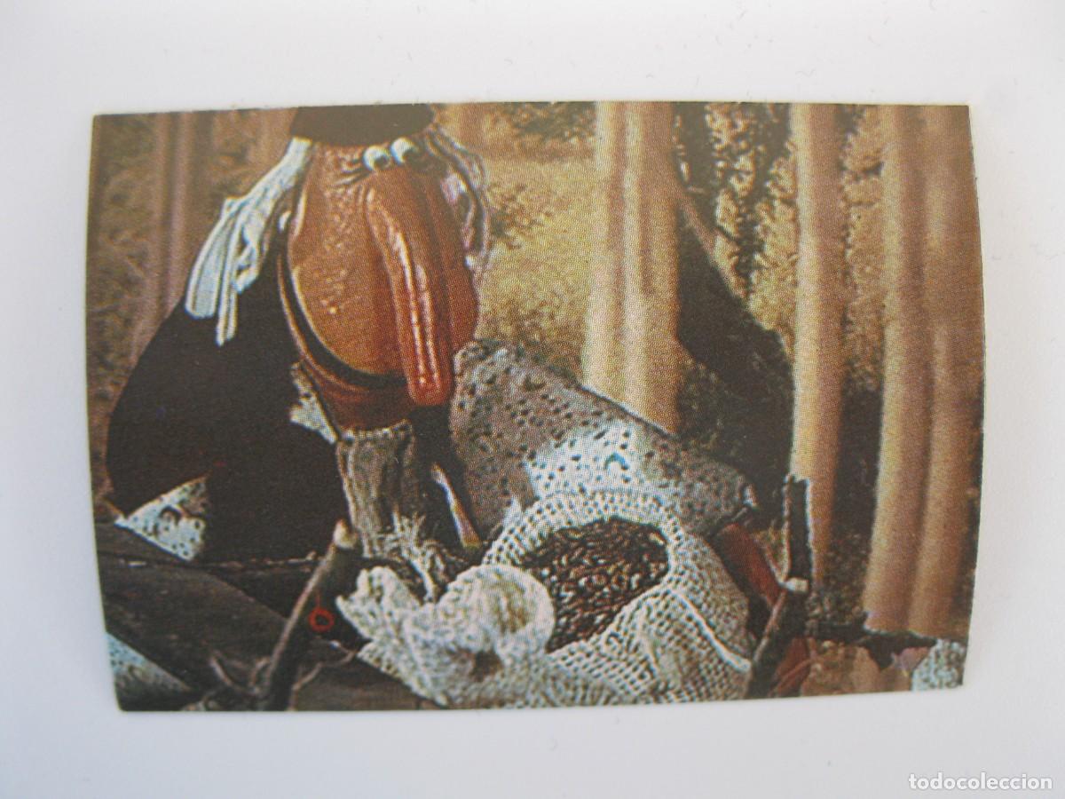 Coleccionismo cromos antiguos: EL M&Oacute;N M&Agrave;GIC DEL M&Agrave;GIC BRUFFI - CROMO N&ordm; 72 - ESPE - NUNCA PEGADO.