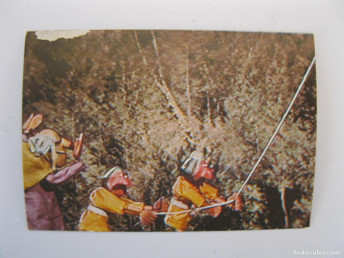 Coleccionismo cromos antiguos: EL M&Oacute;N M&Agrave;GIC DEL M&Agrave;GIC BRUFFI - CROMO N&ordm; 62 - ESPE - NUNCA PEGADO.