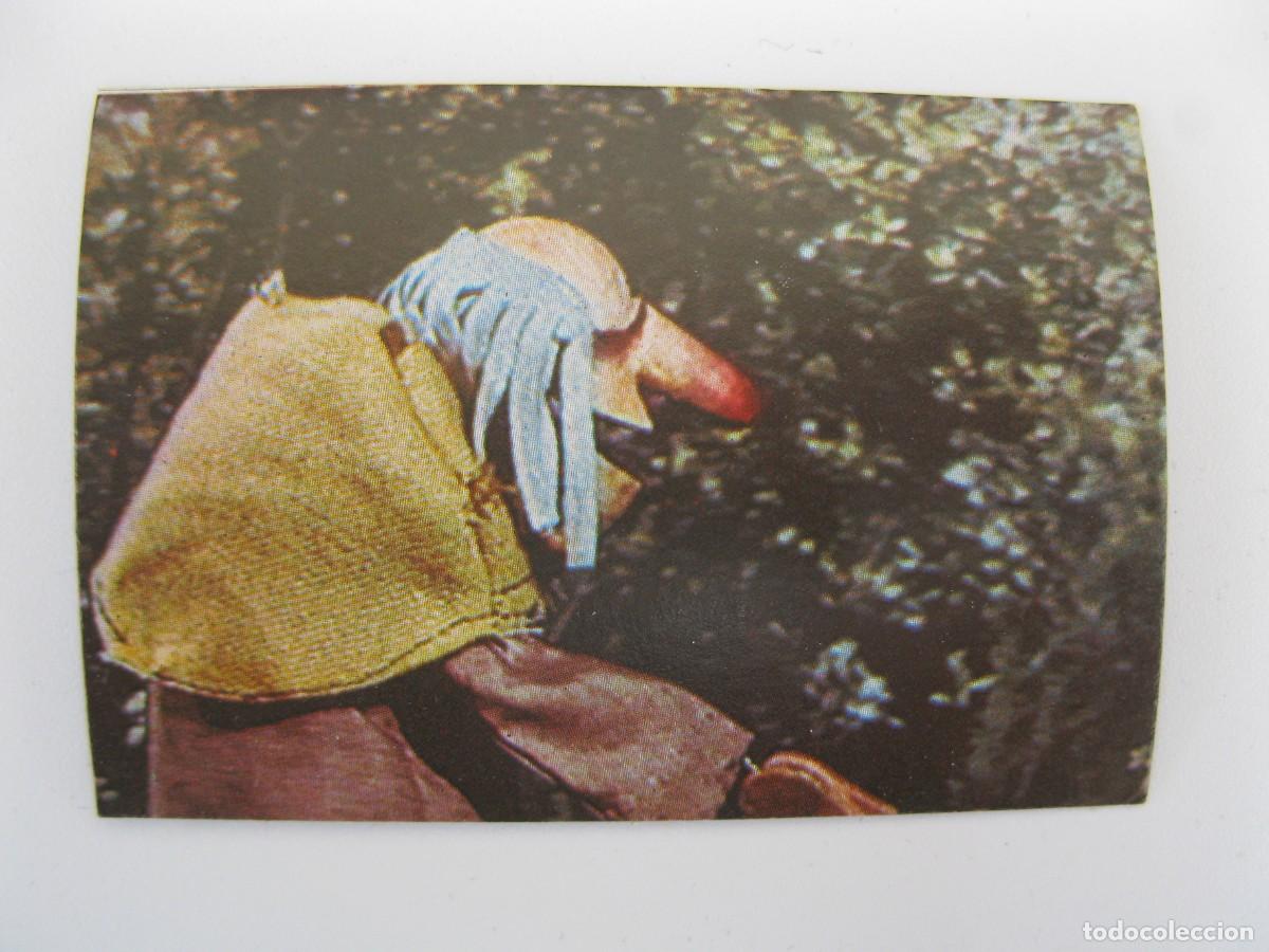 Coleccionismo cromos antiguos: EL M&Oacute;N M&Agrave;GIC DEL M&Agrave;GIC BRUFFI - CROMO N&ordm; 204 - ESPE - NUNCA PEGADO.