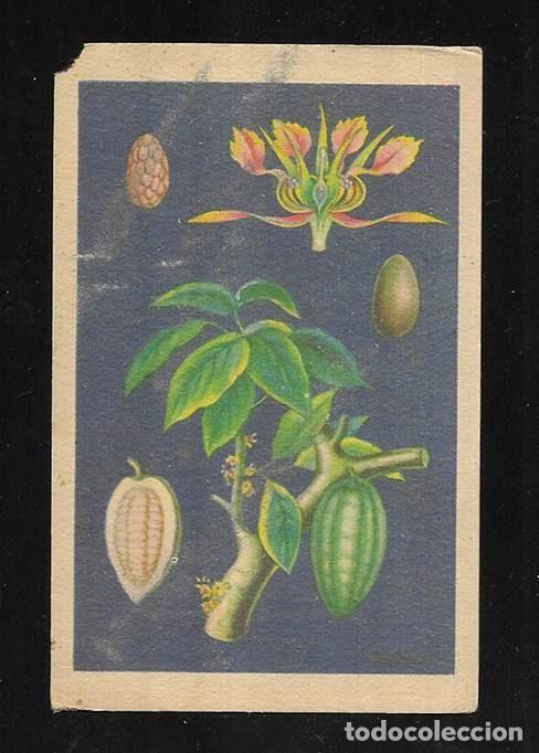 Coleccionismo cromos antiguos: Cromo. Historia del Cacao y del Chocolate. N&ordm; XXII Chocolates Bubi. 1920
