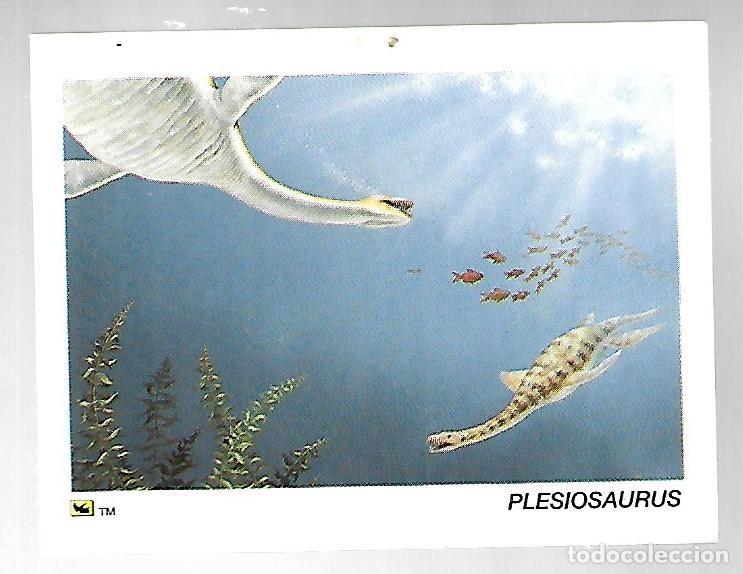 Coleccionismo cromos antiguos: CROMO N&ordm; 24 DE LA COLECCION DINOCARDZ 1993.