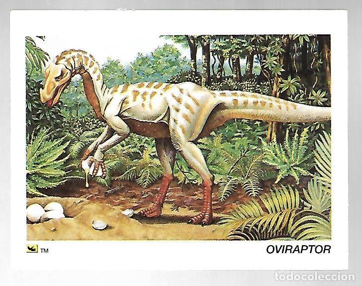 Coleccionismo cromos antiguos: CROMO N&ordm; 13 DE LA COLECCION DINOCARDZ 1993.