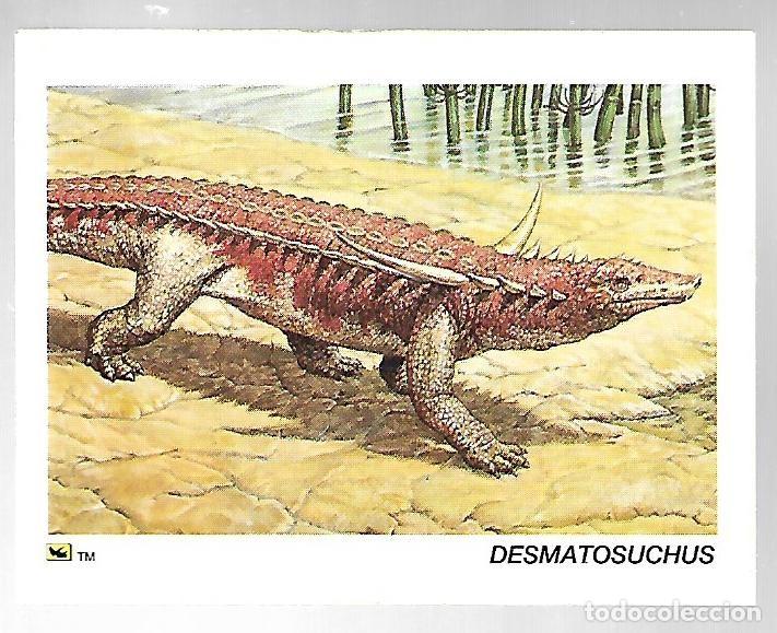 Coleccionismo cromos antiguos: CROMO N&ordm; 11 DE LA COLECCION DINOCARDZ 1993.