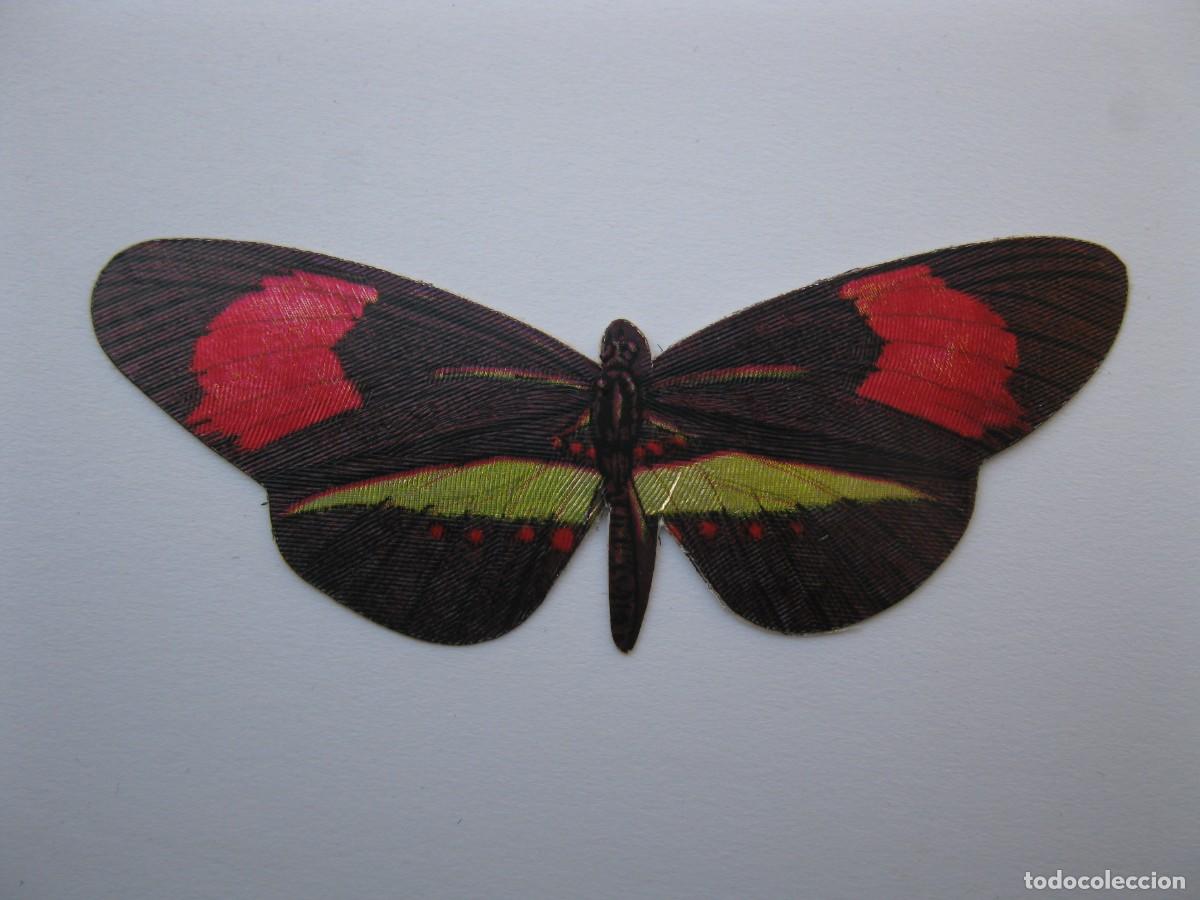 Coleccionismo cromos antiguos: LAS CIEN MARIPOSAS M&Aacute;S BELLAS DEL MUNDO - CROMO N&ordm; 11 - HELICONIA FILIS - PANRICO - NUNCA PEGADO.