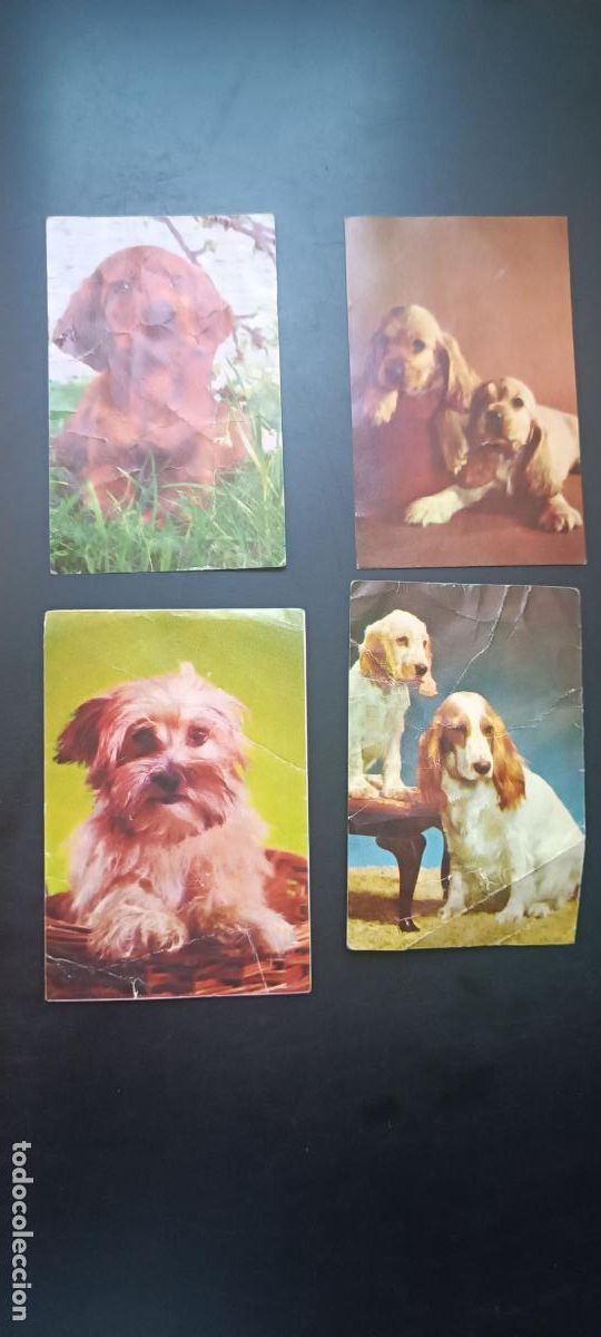 Coleccionismo cromos antiguos: 4 CROMOS DE PHOSKITOS DE PHOSCAO - COLECCION PERROS 3 - 4 - 5 Y 8