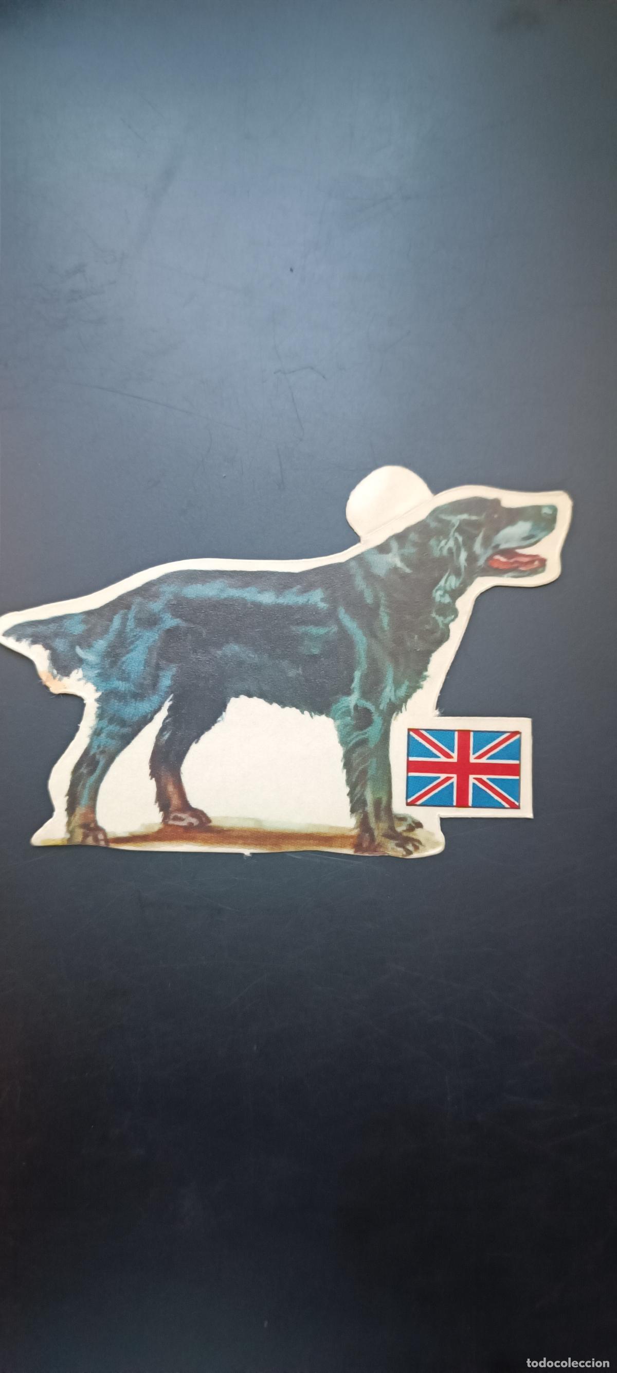 Coleccionismo cromos antiguos: CROMO STICKERS LOS PERROS , SUS RAZAS Y SU ORIGEN PANRICO N 27 SETTER GORDON INGLATERRA