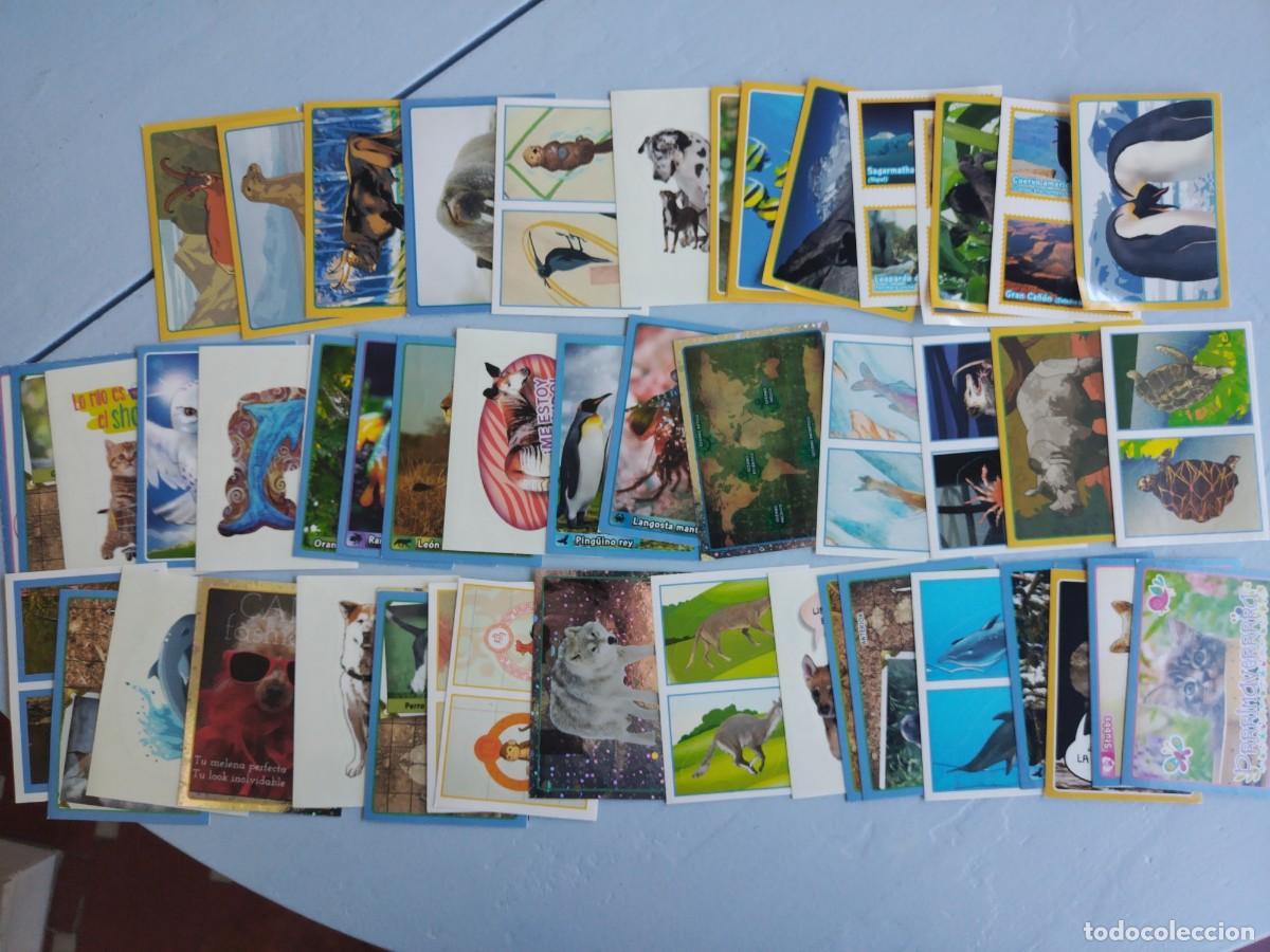 Sammeln alte Sammelbilder: Lote 52 cromos diferentes EL GRAN &Aacute;LBUM DEL MUNDO ANIMAL 2013