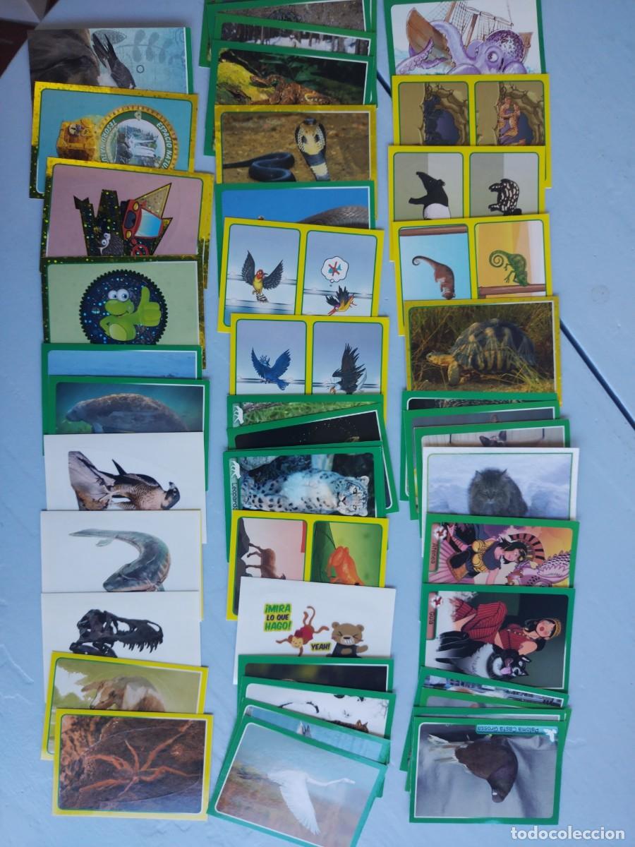 Coleccionismo cromos antiguos: Lote 48 cromos diferentes EL GRAN &Aacute;LBUM DEL MUNDO ANIMAL 2014
