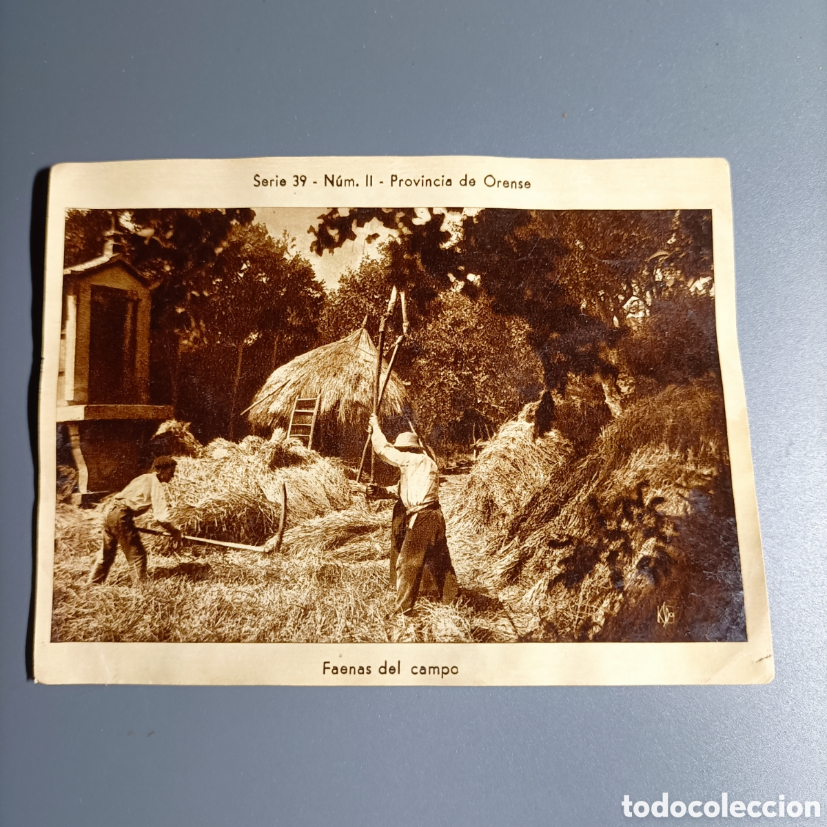 Coleccionismo cromos antiguos: ANTIGUO CROMO. REPRODUCCI&Oacute;N POSTAL. SERIE 39 №11 PROVINCIA DE ORENSE. FAENAS DEL CAMPO