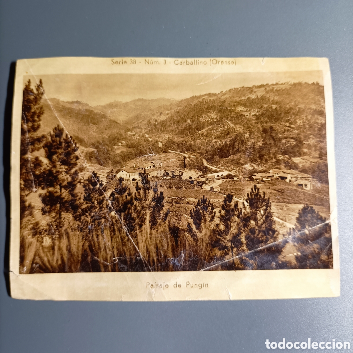 Coleccionismo cromos antiguos: ANTIGUO CROMO. REPRODUCCI&Oacute;N POSTAL. SERIE 38 №3 CARBELLINO (ORENSE). PAISAJE DE PUNGIN