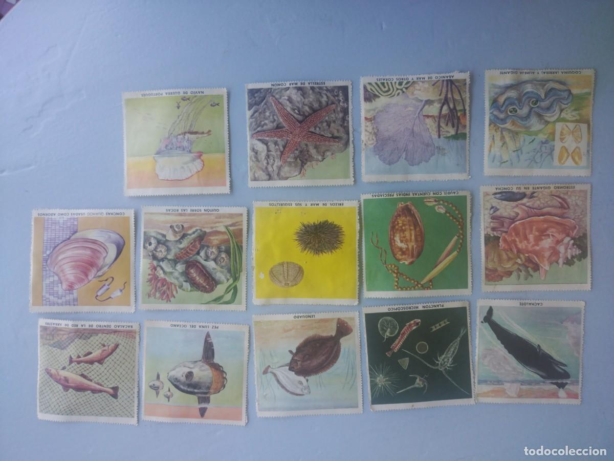 Collectable Antique Stickers: Lote 14 cromos ANIMALES DEL MAR, DE NOVARO