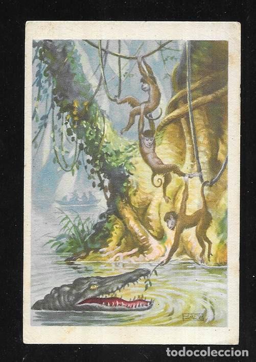 Coleccionismo cromos antiguos: Cromo. A Traves del Africa Salvaje. N&ordm; XXVI Chocolates Bubi. 1920