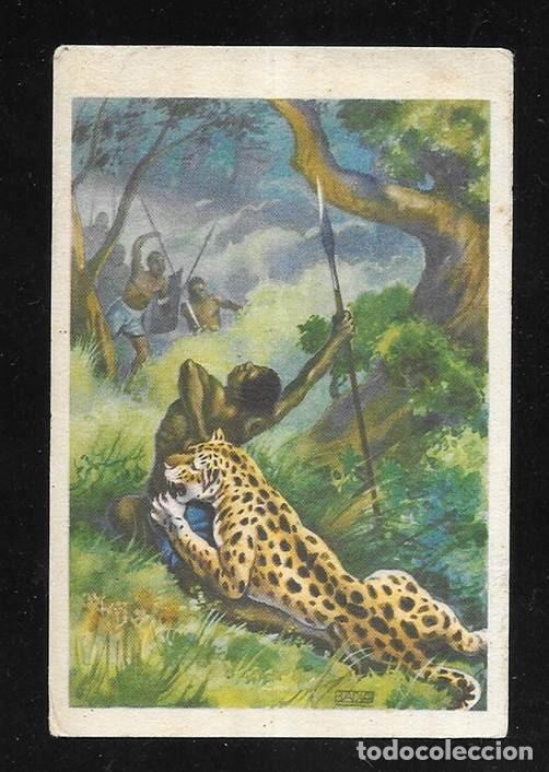 Coleccionismo cromos antiguos: Cromo. A Traves del Africa Salvaje. N&ordm; XXXII Chocolates Bubi. 1920