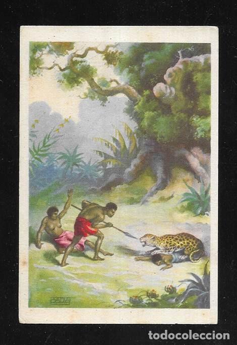 Coleccionismo cromos antiguos: Cromo. A Traves del Africa Salvaje. N&ordm; XXXIII Chocolates Bubi. 1920