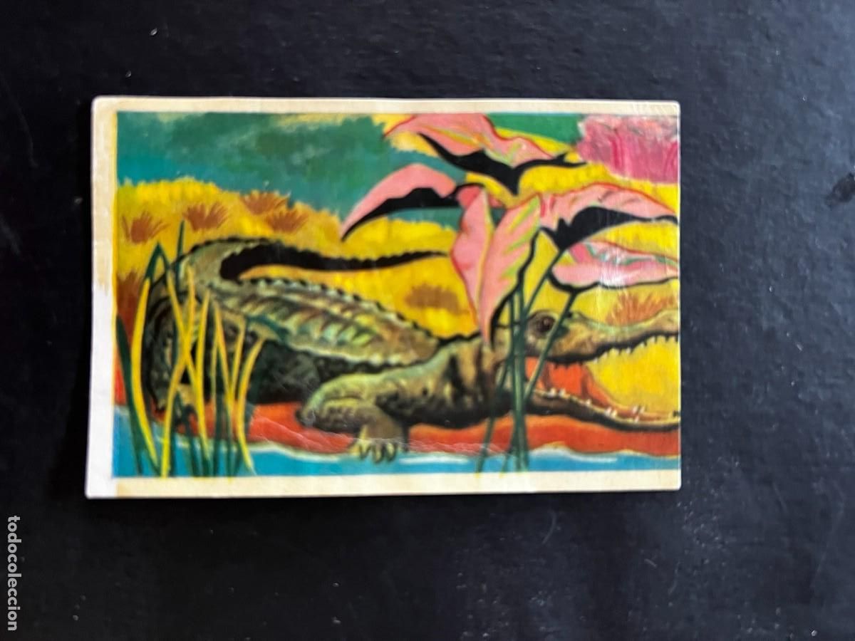 Collectable Antique Stickers: Cromo album COSMORAMA DE AFRICA de Chocolates Torras a&ntilde;o 1960 n&ordm; 37