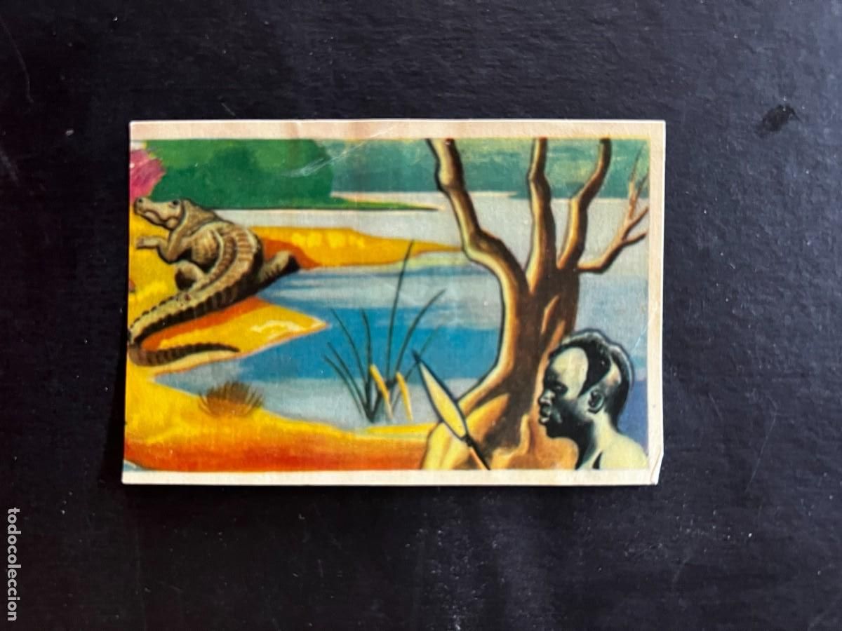 Collectable Antique Stickers: Cromo album COSMORAMA DE AFRICA de Chocolates Torras a&ntilde;o 1960 n&ordm; 38